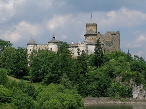 Замок Недзіца