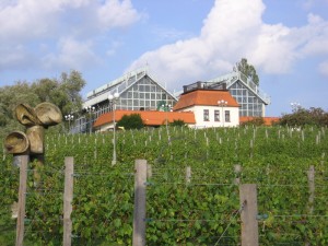 Виноградний парк. Зелена Гура