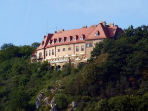 Пшегожальський замок